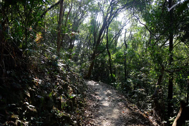 Peel Rise to Wan Chai Gap Hike